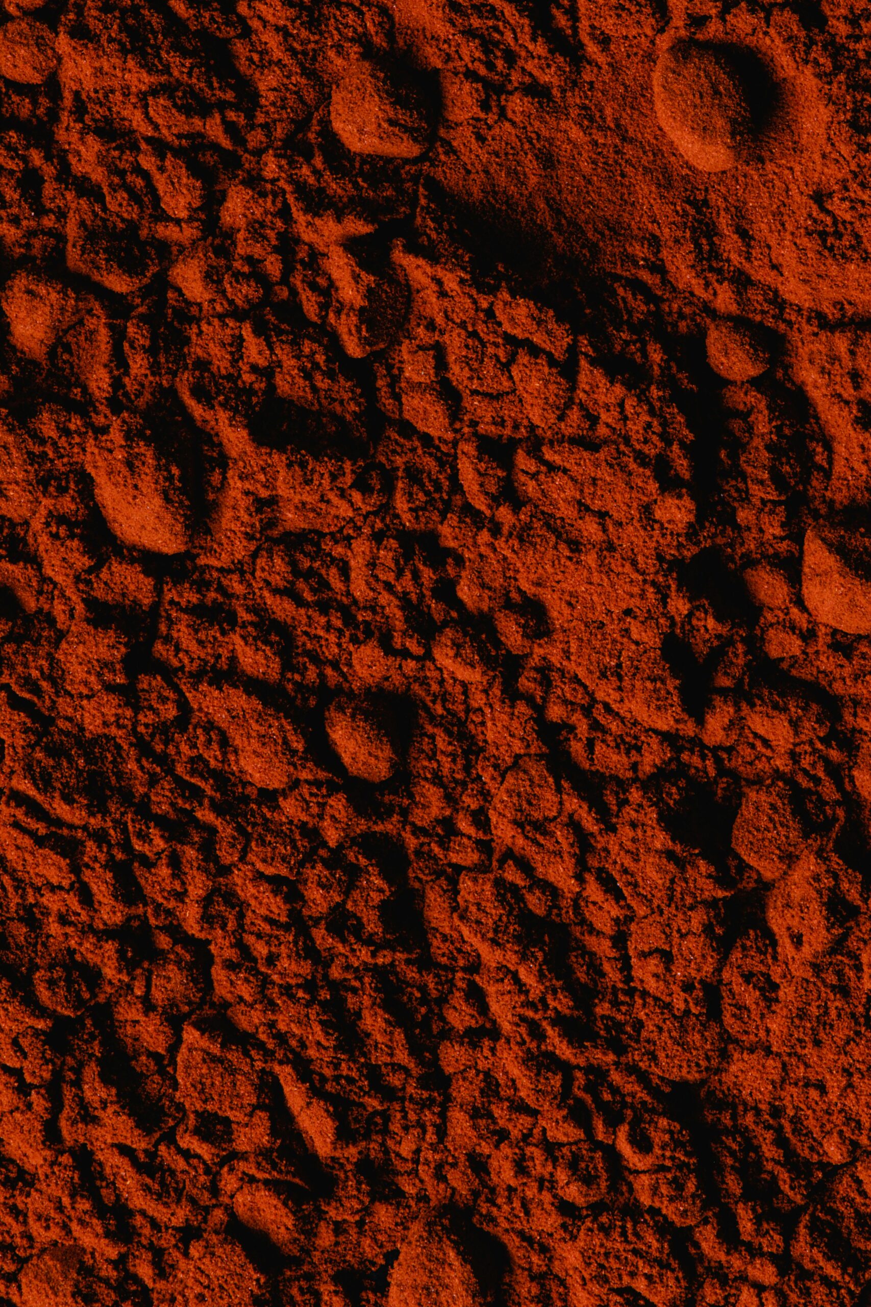 Detailed vertical shot showcasing the rich texture of paprika powder, emphasizing its vibrant red color.